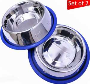 Etched Stainless Steel Dog Bowls with Blue Silicone Base