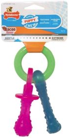 Nylabone Puppy  Chew Teething Pacifier