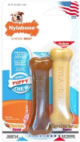 Nylabone Puppy Chew Petite Twin Pack - Chicken & Peanut Butter Nylon Chews