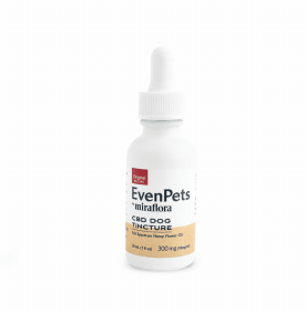 CBD Dog Tincture