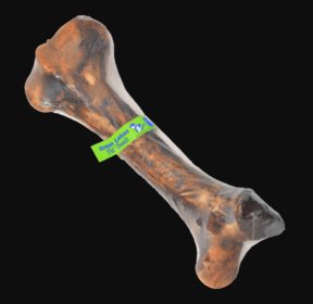 Meaty Dino Femur Bone (Pack of 2)