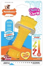 Nylabone Puppy Chew Color Changing Chill N Chew Bone - Mini Souper