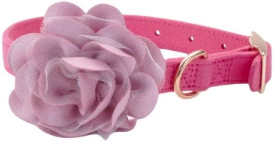 Coastal Pet Microfiber Dog Collar with Pink Accent Flower