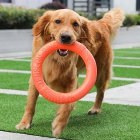 Dog Ring Toy (Color: Orange)