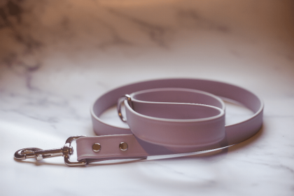 Biothane Leash (Color: lavender, size: 6 feet)