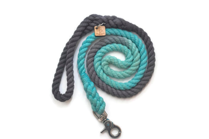 Rope Dog Leash (Color: Grey and Aqua, size: 5 ft)