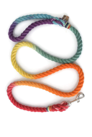 Rope Dog Leash (Color: Rainbow, size: 4 ft)