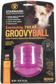 Starmark Everlasting Treat Groovy Ball (Style: Medium)