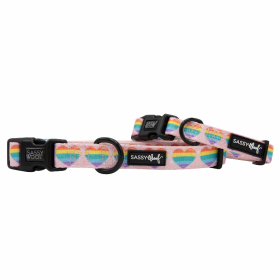 Sassy Woof Dog Collars (Color: Paws of Love, size: small)