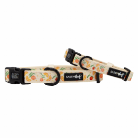 Sassy Woof Dog Collars (Color: Simply the Zest, size: small)