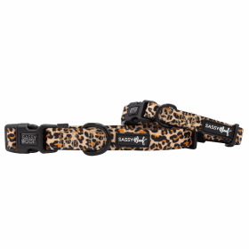 Sassy Woof Dog Collars (Color: Sass Gone Wild, size: small)