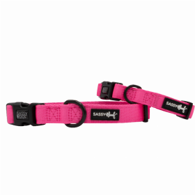 Sassy Woof Dog Collars (Color: Neon Pink, size: medium)