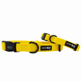 Sassy Woof Dog Collars (Color: Neon Yellow, size: small)