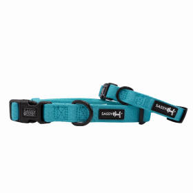 Sassy Woof Dog Collars (Color: Neon Blue, size: large)
