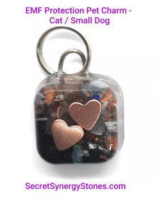 EMF 5G protection Pet Charm Cat/Sml Dog with Split Ring (Color: 2 Hearts - Split Ring, size: 1 ounce)