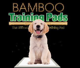 Bamboo Training Pads (size: 50 count - 5 SAP)