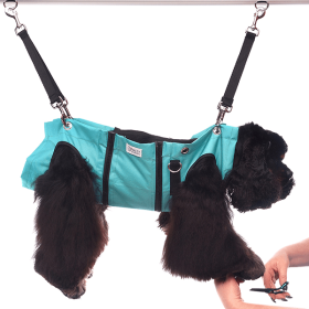 Grooming Nail Trim Sling Hammocks (Color: Turquoise)