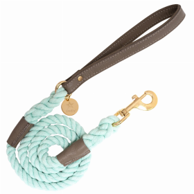 Dog Leash (Color: Desert Mint)