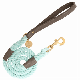 Dog Leash (Color: Desert Mint)