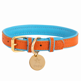 Dog Collar (Color: Vibrant Sunset, size: small)