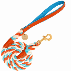 Dog Leash (Color: Vibrant Sunset)