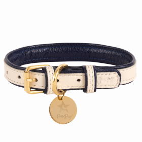 Dog Collar (Color: Hot Marine, size: small)