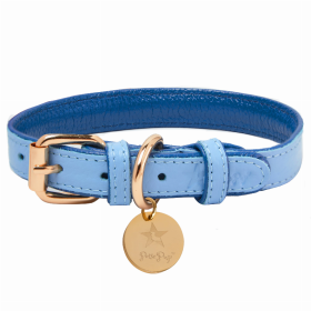 Dog Collar (Color: Ocean Vibes, size: S)