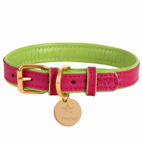 Dog Collar (Color: Candy Swirl, size: small)