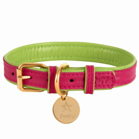 Dog Collar (Color: Candy Swirl, size: XL)