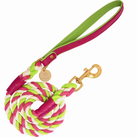 Dog Leash (Color: Candy Swirl)