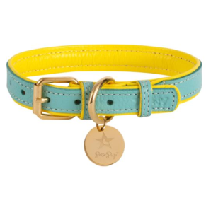 Dog Collar (Color: Sunshine Babe, size: large)
