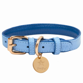 Dog Collar (Color: Ocean Vibes, size: XL)