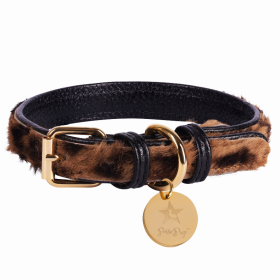 Dog Collar (Color: Wildest One, size: small)