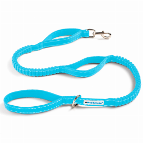 Shock Absorbing Bungee Leash (Color: Columbia Blue)
