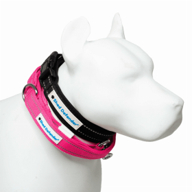 Mag-Snap Leash - 5 ft. (Color: Pink, size: 5ft)