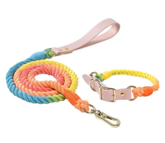 Luxe Royal Leather Rope Leash and Collar Set (Color: Rainbow)