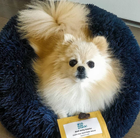 Marshmallow Pets Bed (Color: Blue, size: XL)