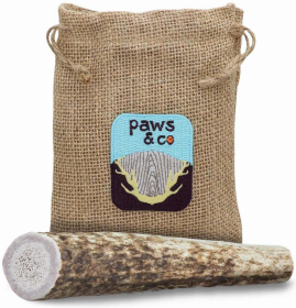 Whole Antler Chew (size: small)