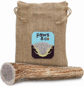 Whole Antler Chew (size: medium)