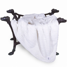 Paris Dog Blanket (Color: Ivory, size: small)