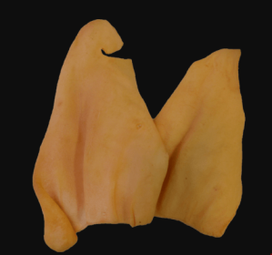 Flavored Cow Ears (Pack of 15) (Color: Vanilla, size: 5-6")