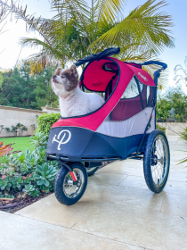 Trailblazer Pet Jogger (Color: Mars)