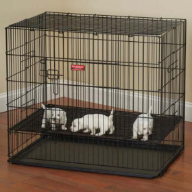 ProSelect Puppy PlayPen with Plastic Pan (Color: Black, size: medium)