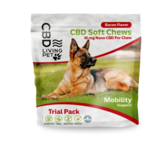 CBD Soft Chews Bacon Flavor Mobility Support (Style: 50mg CBD)