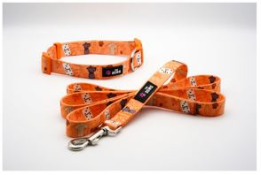 Dog Collar And Leash Set (Color: Caribbean Canine, size: S)