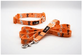 Dog Collar And Leash Set (Color: Caribbean Canine, size: S)