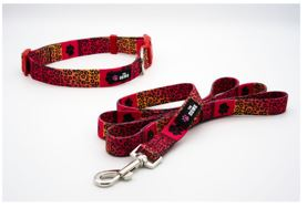 Dog Collar And Leash Set (Color: Ruff And Rouge, size: S)