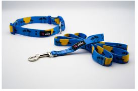 Dog Collar And Leash Set (Color: Sky Blue, size: M)