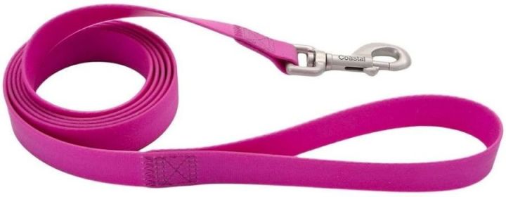 Coastal Pet Pro Waterproof Leash (Style: 3/4" x 6' Long Purple)