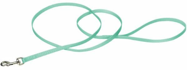 Coastal Pet Single-ply Nylon Dog Leash (Style: Sea Green)